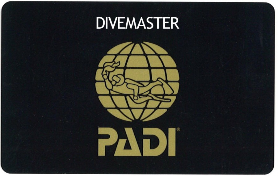 PADI DM