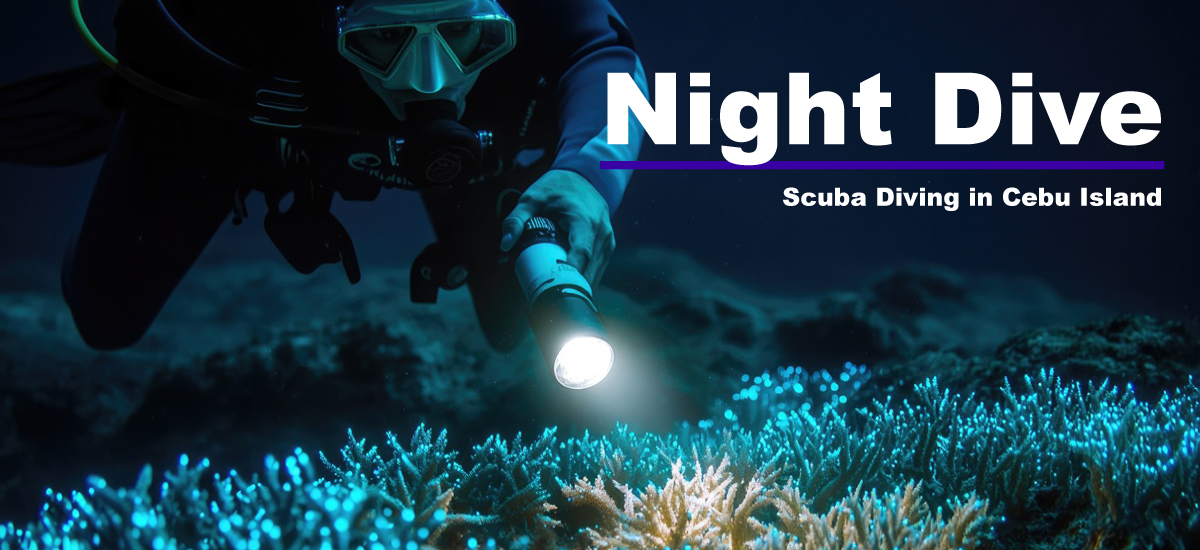 Night-Dive-Banner