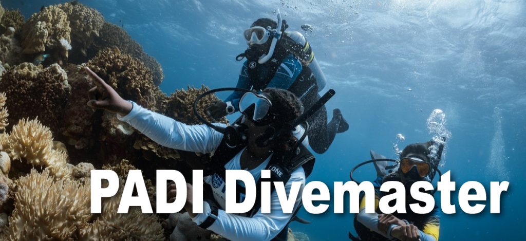 PADI-Divemaster