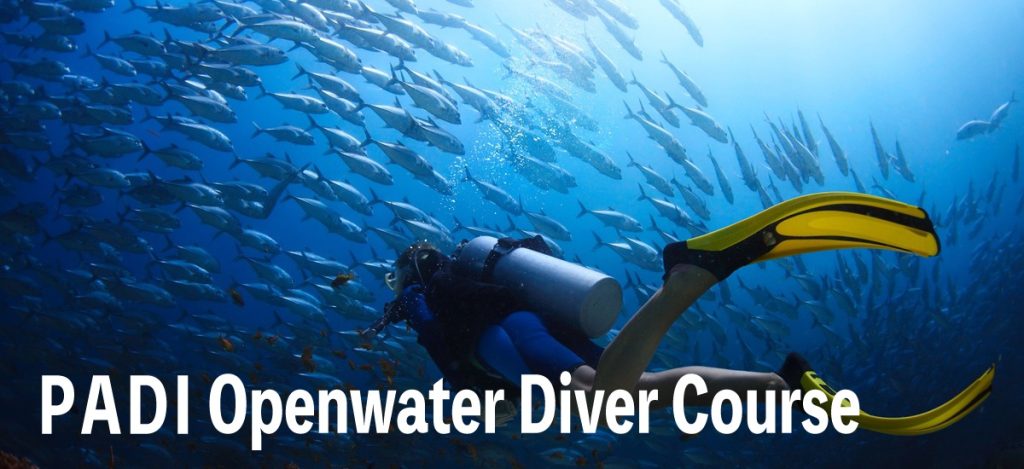 PADI-openwater-banner-Eng