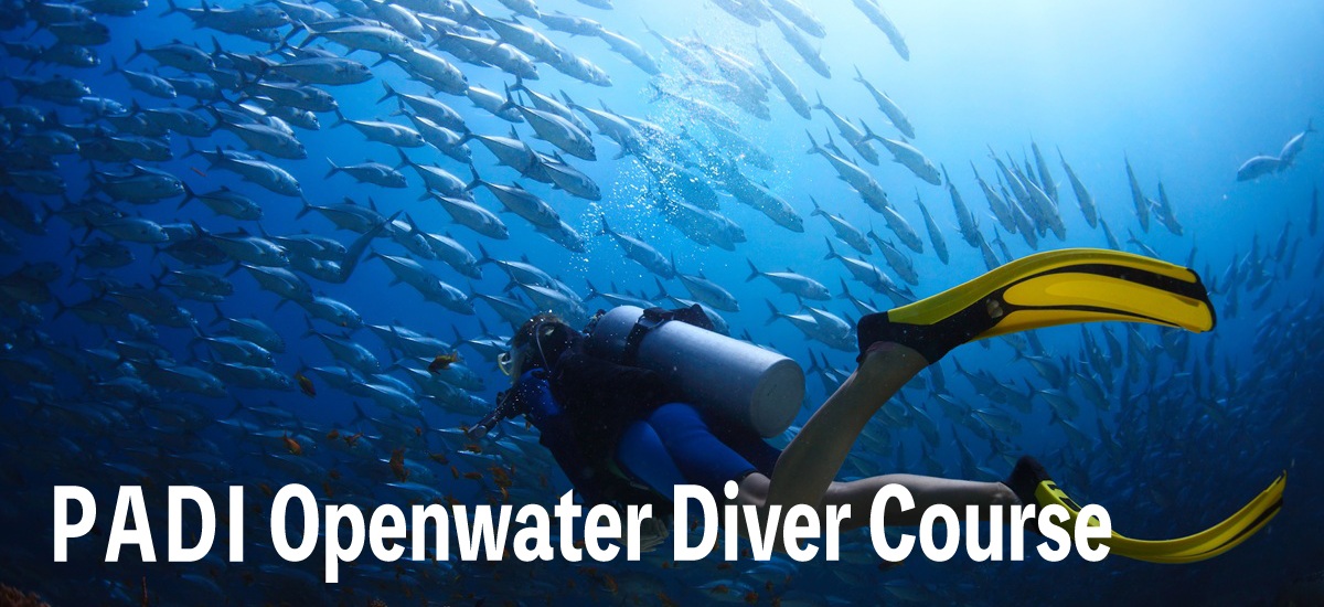 PADI-openwater-banner