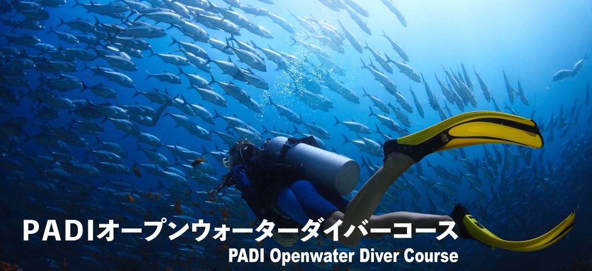 PADI-openwater-banner