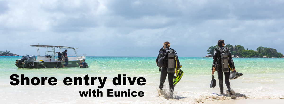 Shore-entry-dive