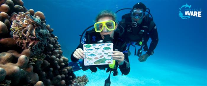 PADI マスター・スクーバダイバー・トレーナー