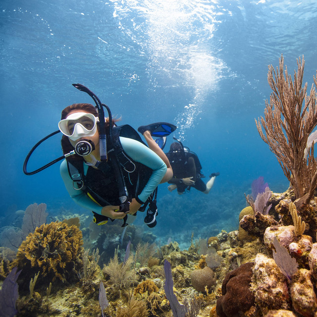 PADI オープンウォーター・ダイバーコース１
