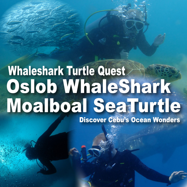 eng-oslob-moalboal-trip