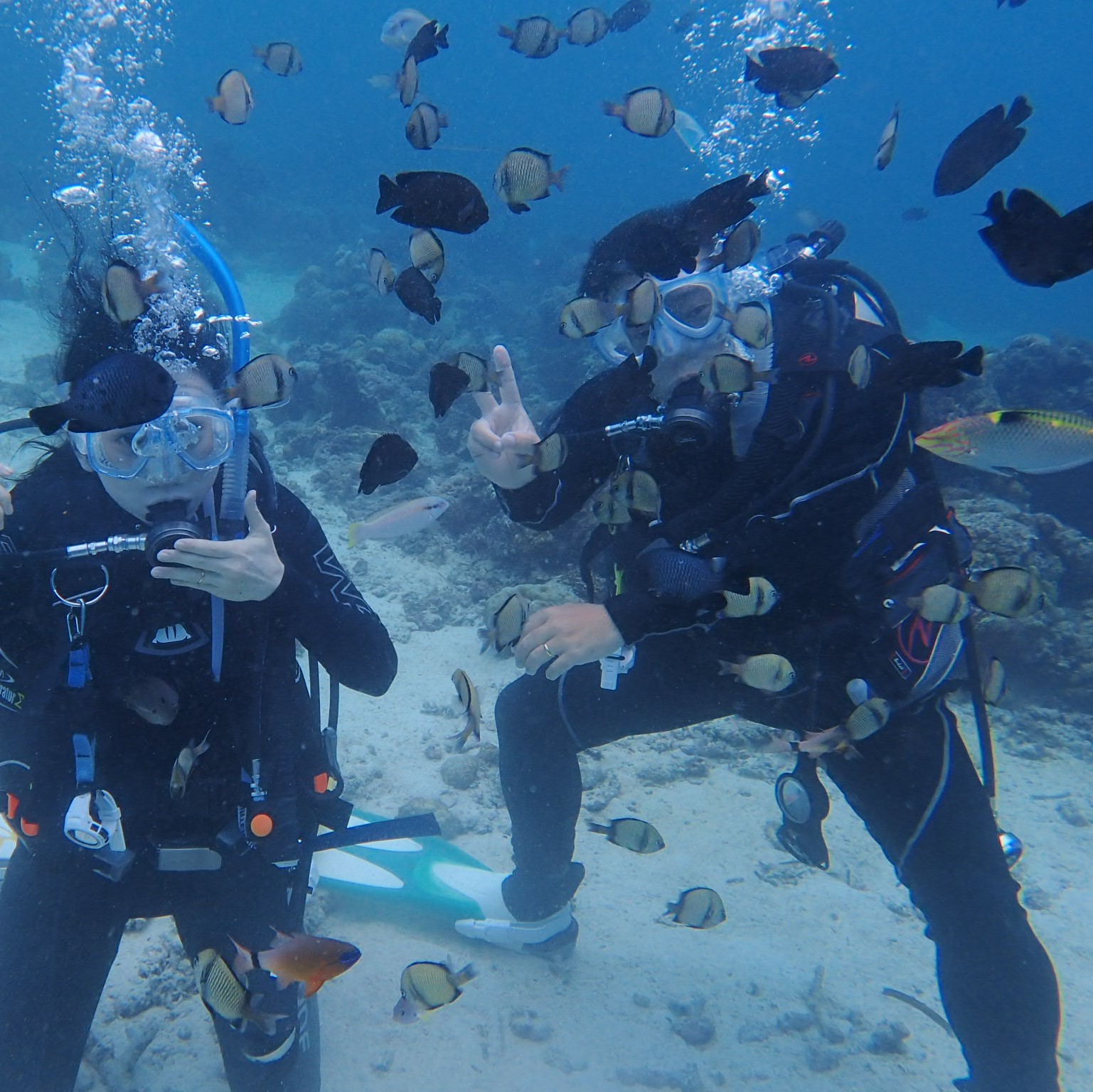 ビーチダイビング | PADI Dive Center MSU