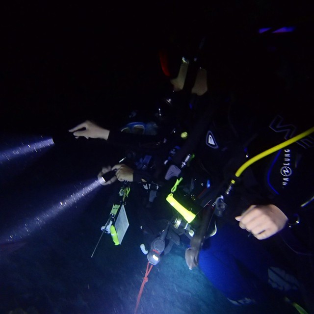 night dive