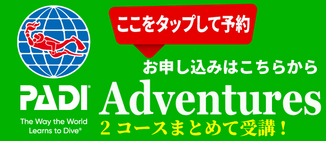 PADI-Adventure-Button-Japanese-combo