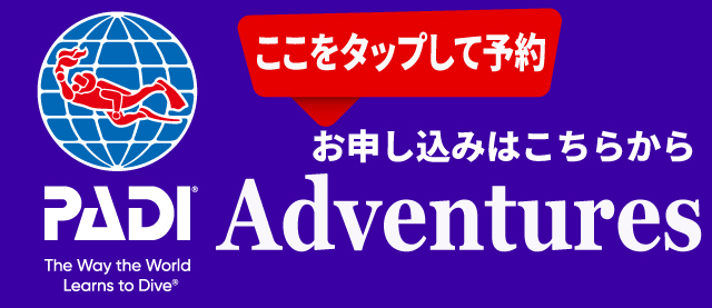 PADI-Adventure-Button-Japanese-v2