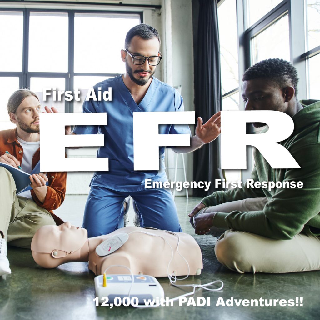 eng-EmergencyFirstResponse