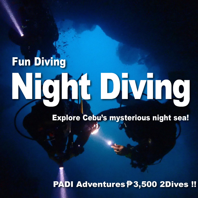 eng-NightDiving
