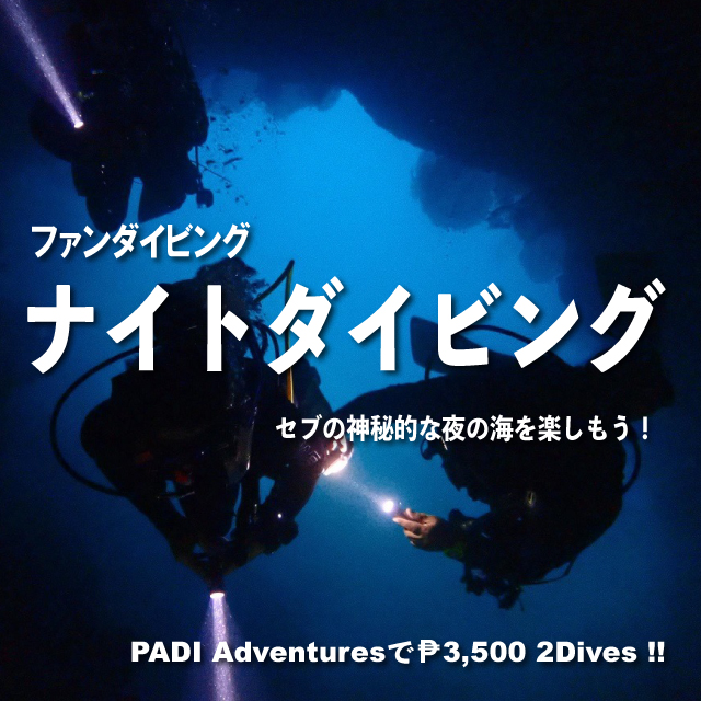 jpn-NightDiving