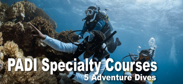 PADI-Specialty-course-banner-ENG