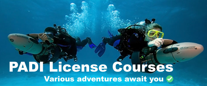 license-main-en