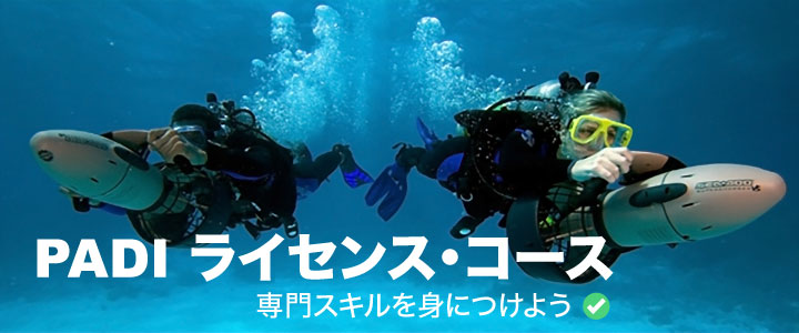 license-main-jp