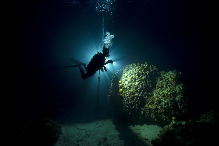 マクタン・Kontiki でのナイトダイビング