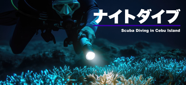 Night-Dive-Banner-jp